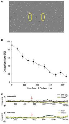 Neural Correlates of Conscious Motion Perception